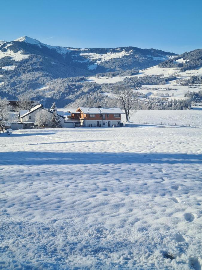 Berg Apartment Barbara Hopfgarten im Brixental Esterno foto